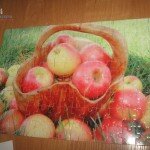 IMG_9213
